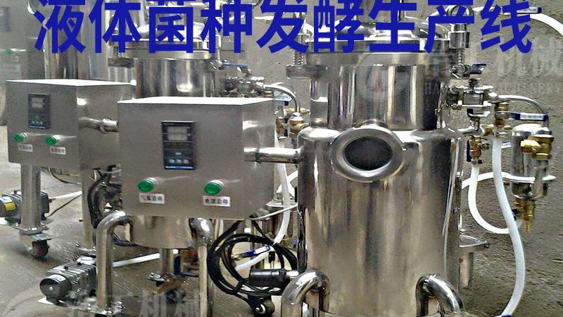 速冻生产线节能秘籍：揭秘降低能耗的五大方法